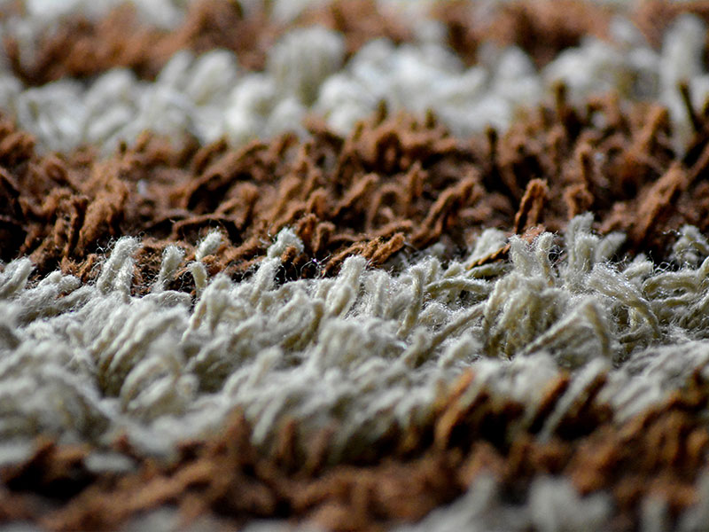 При чистке от пластилина ковра с длинным ворсом нельзя втирать его в изделие