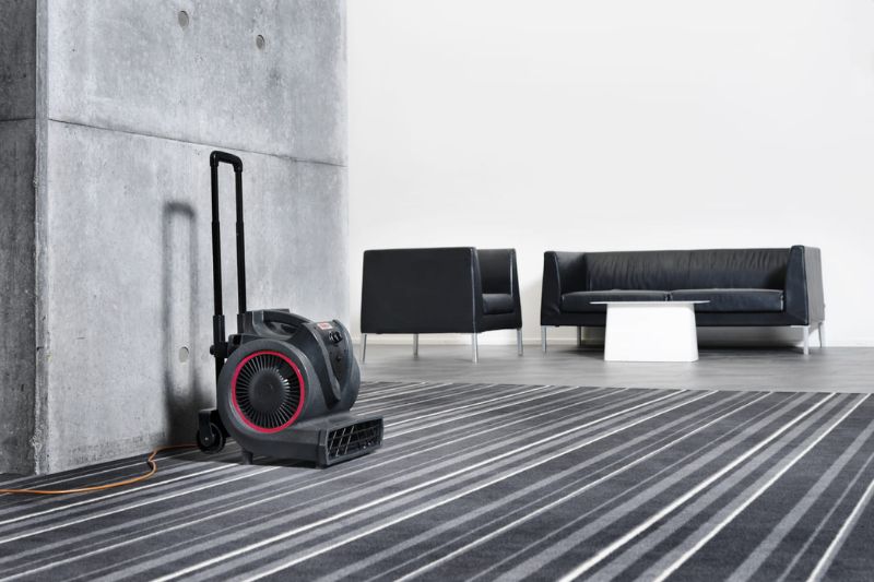 Просушить ковер с помощью фена